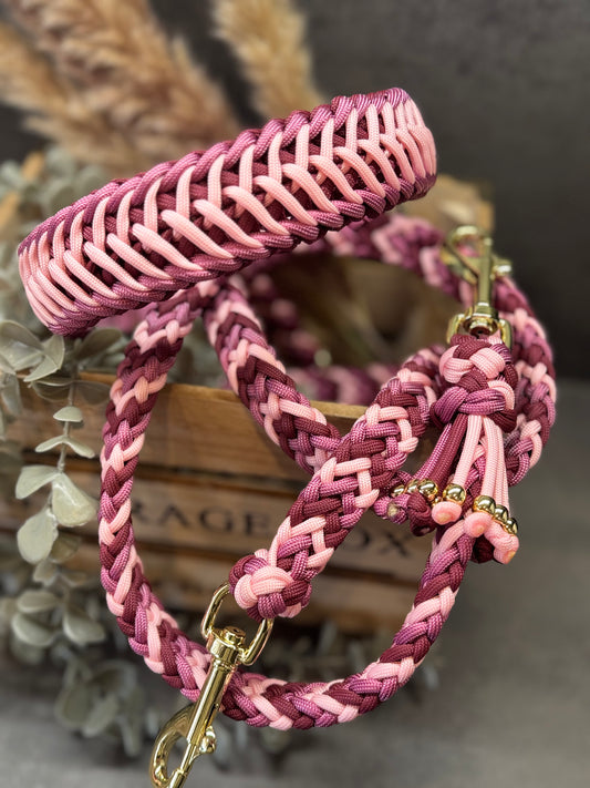 Flying Cookie Halsband individuell erstellen