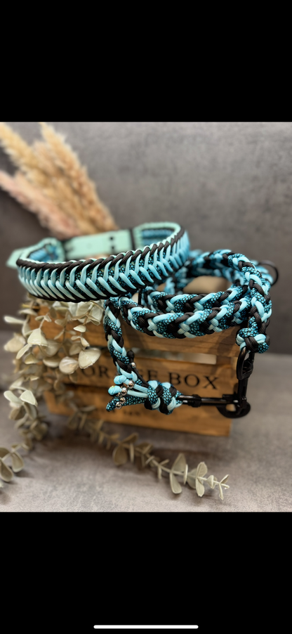 Flying Cookie Halsband individuell erstellen