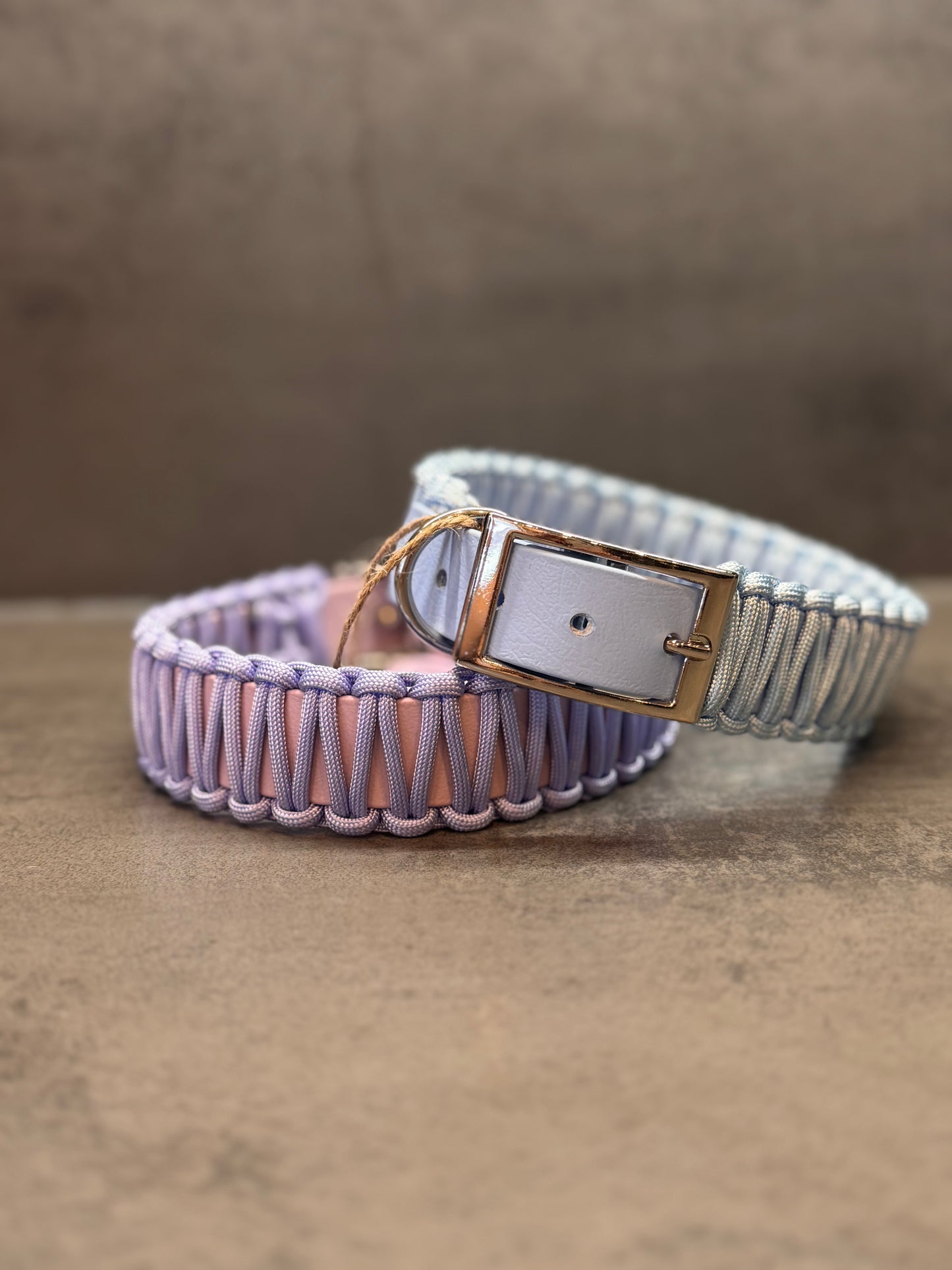 Biothane X Paracord Cobra 25mm Halsband individuell erstellen