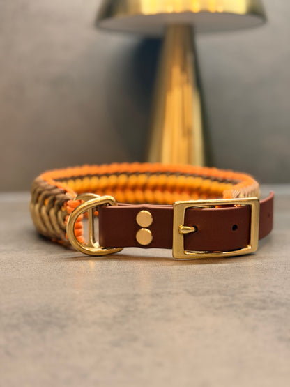 Flying Cookie Halsband individuell erstellen